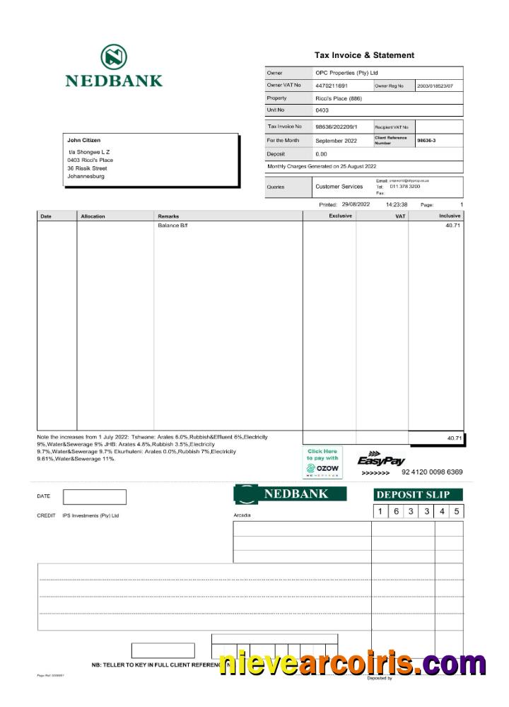 South Africa Nedbank statement Word and PDF scr